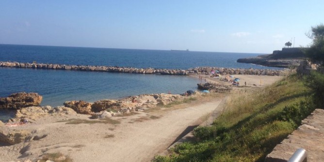 Allergie gravi da Parietaria: «Wheeler intervenga»