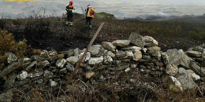 Domato incendio vicino a Palmadula