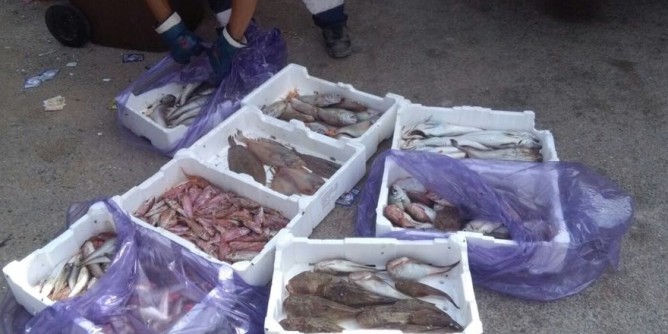 Ristoratore <i>shock</i>: pesce nel cassonetto