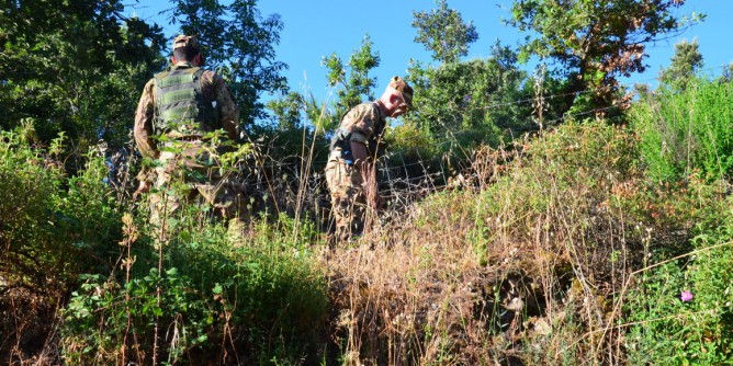 Coltivazione di cannabis: 50enne in manette