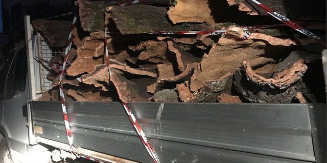 Sughero estratto furtivamente: tre arresti