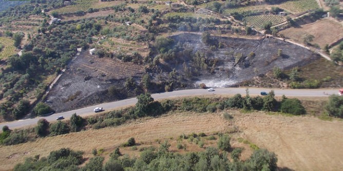 Incendio domato a Lanusei