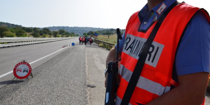 Animali per strada: incidente sulla Statale 129