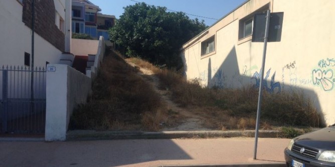 Erbacce e insetti vicino la spiaggia Scoglio Lungo