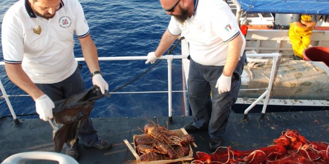 Asinara, pesca 50 chili di pesce in area protetta: denunciato