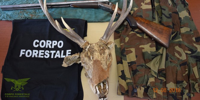 Antibracconaggio: 62enne rischia un anno di reclusione