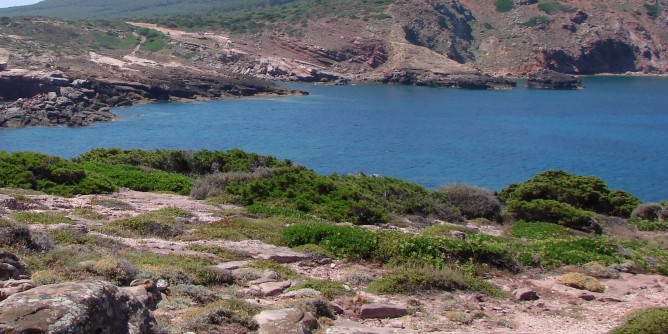 Giovedì, pulizia a Cala Viola