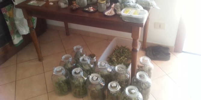 Piantagione di marijuana: arrestato coltivatore