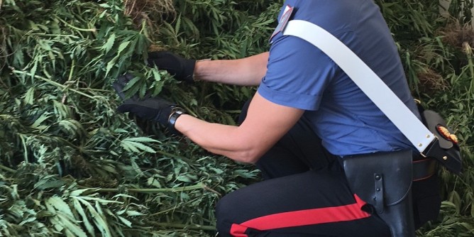 Marijuana a Usini: arrestato 45enne