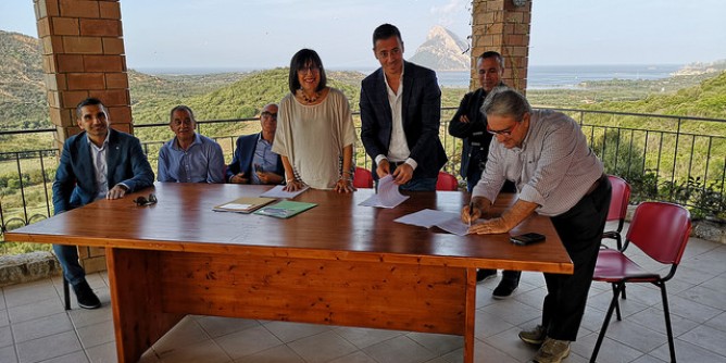 Patrimonio boschivo: Spano a Loiri Porto San Paolo