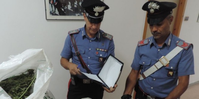 Nascondeva 10,5 chili di marijuana in un rudere: arrestato