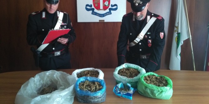 Ai domiciliari con 2chilogrammi di marijuana