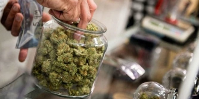 <i>CannabiSquare</i>, boutique a Sassari