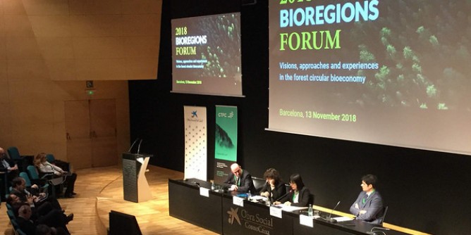 Ambiente e foreste: Spano a Barcellona