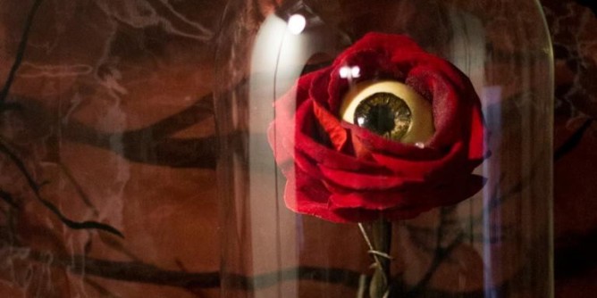 Aaron Gonzalez, <i>Wunderkammer</i> a Casa Manno