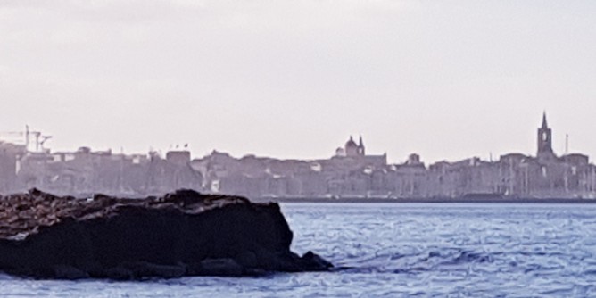 6 associazioni sulla <i>Posidonia</i>: ecco la posizione