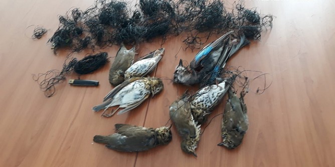 Antibracconaggio: denuncia a Sarroch