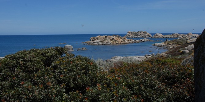 Fauna marina: approvati i fondi regionali