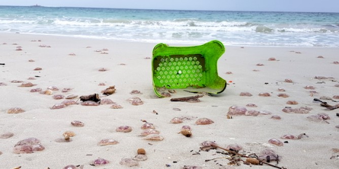 Effetto-caldo: migliaia di meduse ad Alghero