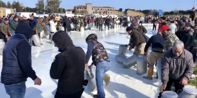 Vertenza latte, tavolo a Cagliari
