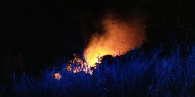 Fiamme, paura per la Necropoli
