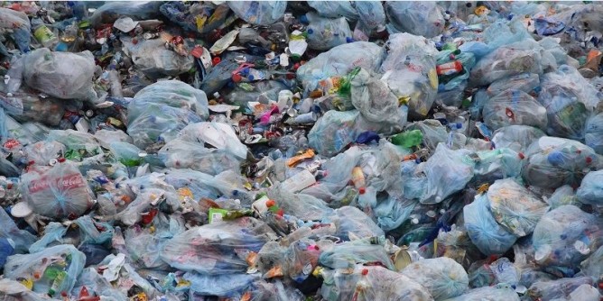<i>Plastic free</i>: Stintino dice no alla plastica