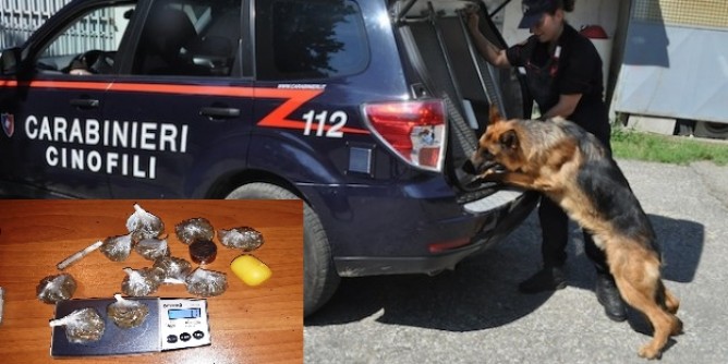 Spaccio e munizioni: 9 denunce in Ogliastra