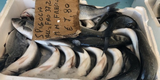 Pesce non tracciato: sanzioni ad Oristano