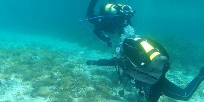 Asinara Camp: sub e natura sull´isola