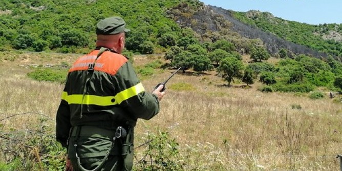 Bottida e Buddusò: fiamme in campo
