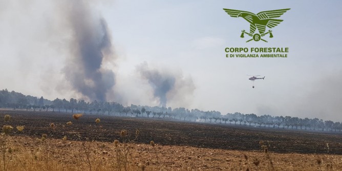 Incendio a Villanova, elicotteri in azione