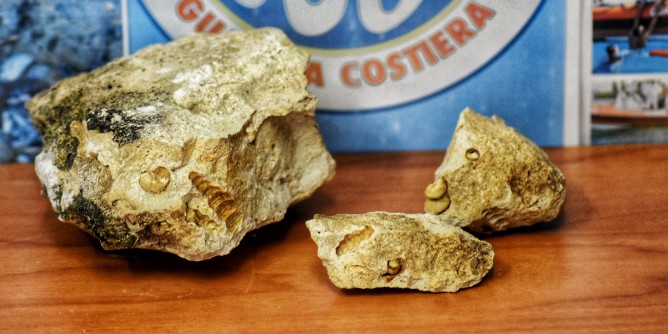 Sub <i>pesca</i> fossili: sanzioni a Golfo Aranci