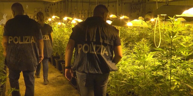 Marijuana: arresto e sequestro