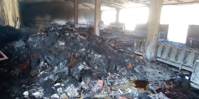 Incendio Siniscola: Coldiretti chiede interventi