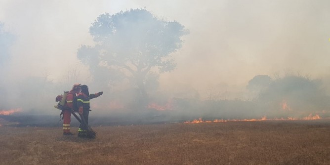 Ancora incendi in Sardegna: 5 roghi