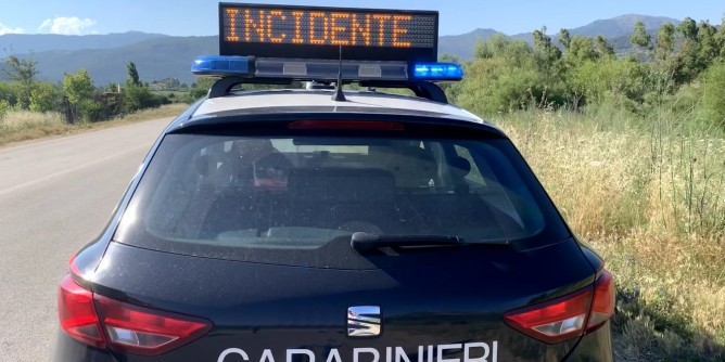 Villagrande: centra un <i>asino</i> sulla Statale
