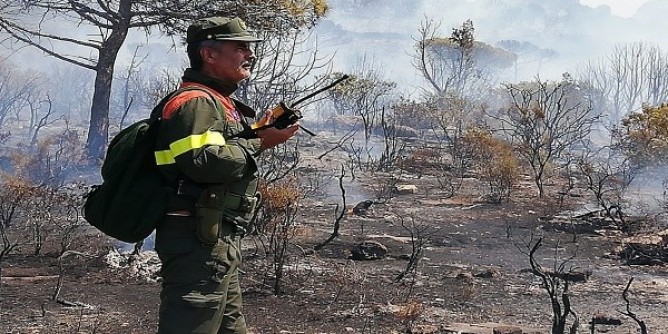 Ancora incendi nell´Isola a Nuoro