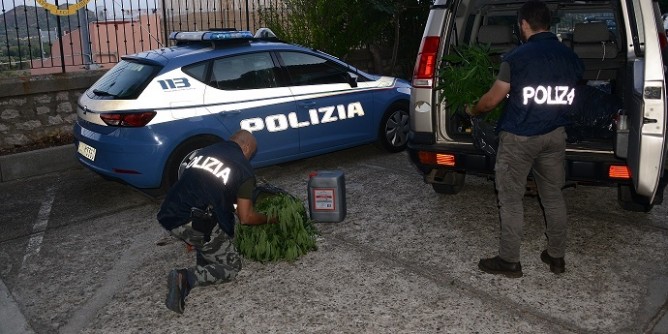 Marijuana: 9 arresti a San Teodoro e Girasole