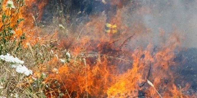 Incendi: giovedì caldo per l´Isola