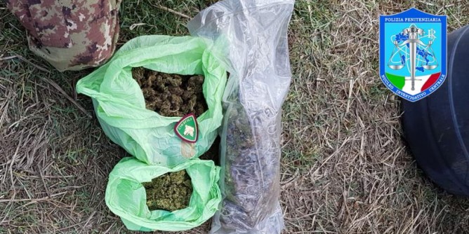 8<i>kg</i> di marijuana: 3 arresti