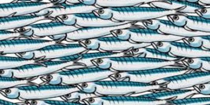 <i>Sardine</i> in piazza: flash mob ad Olbia