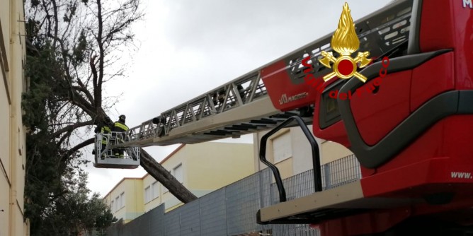 Ossi: pino si abbatte sulla casa di riposo anziani