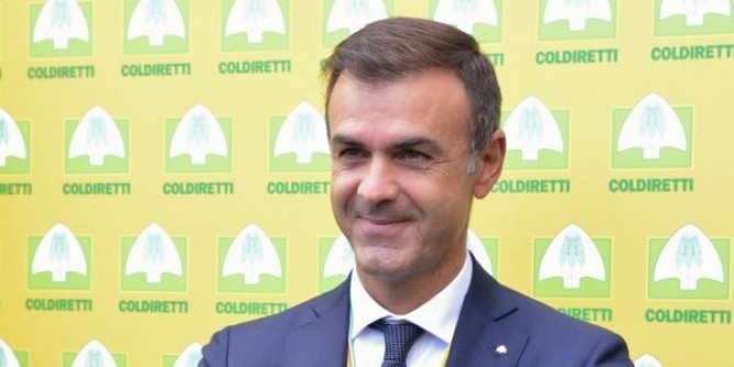«Allarme insetti alieni in campagna»