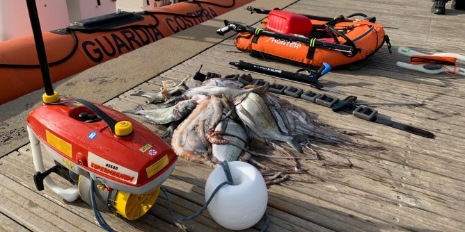 Porto Torres: sequestrati 20<i>kg</i> di pescato
