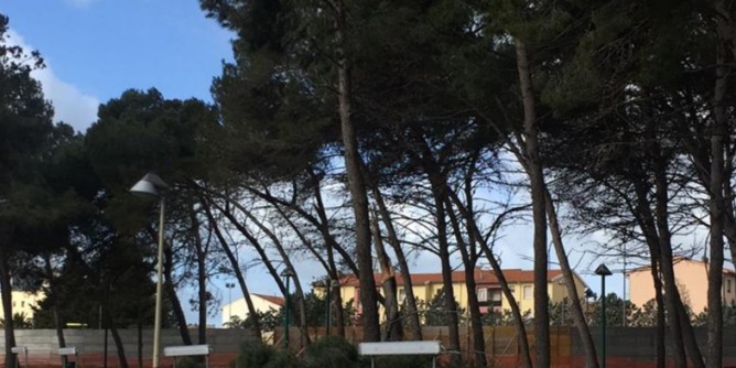 A Sassari la giornata dell’albero