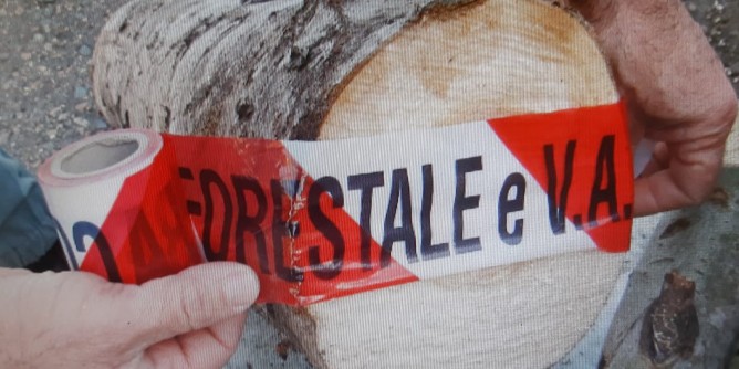 Legna rubata e tagliole nei boschi: perquisizioni