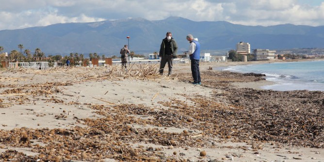 Al via la rimozione delle canne dal Poetto