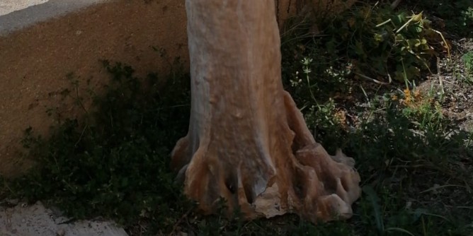 Alghero: Stalattite abbandonata in Piazza