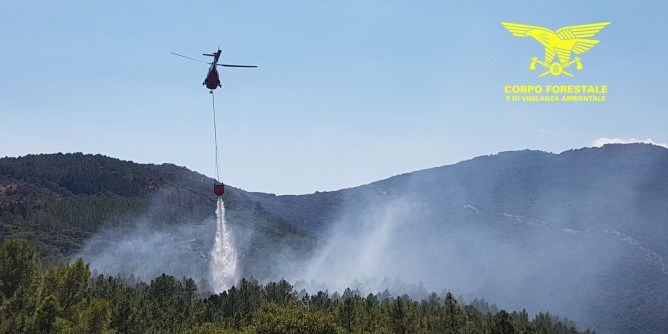 Macchia mediterranea in fiamme ad Ozieri