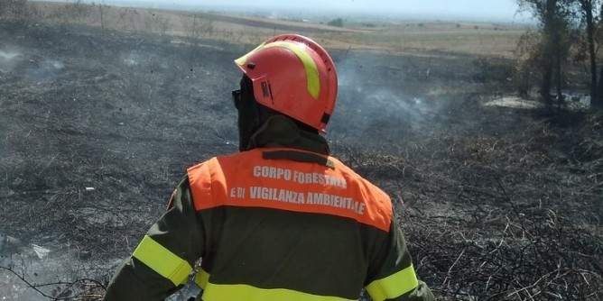 Incendi a Santa Giusta e Segariu nella domenica isolana
